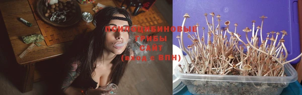 спайс Володарск