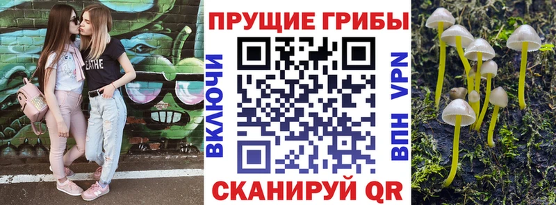 Псилоцибиновые грибы Cubensis  Мариинский Посад 